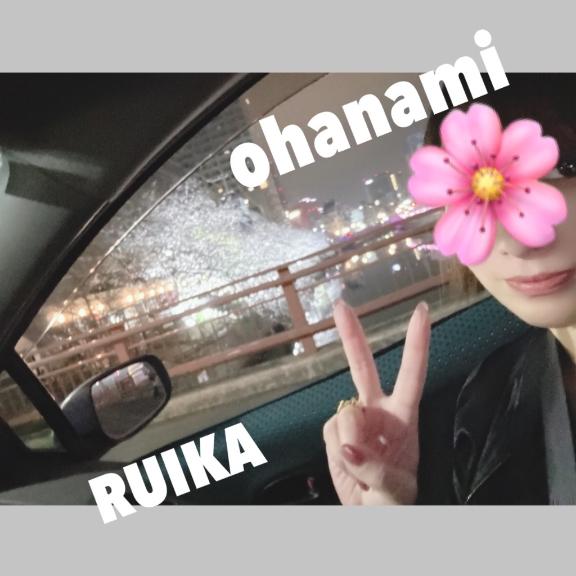 sakura🌸