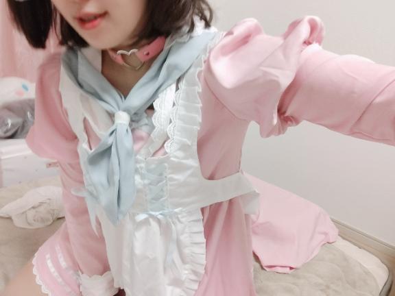 ワンニャン合戦