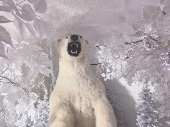 ごめんなさい💦