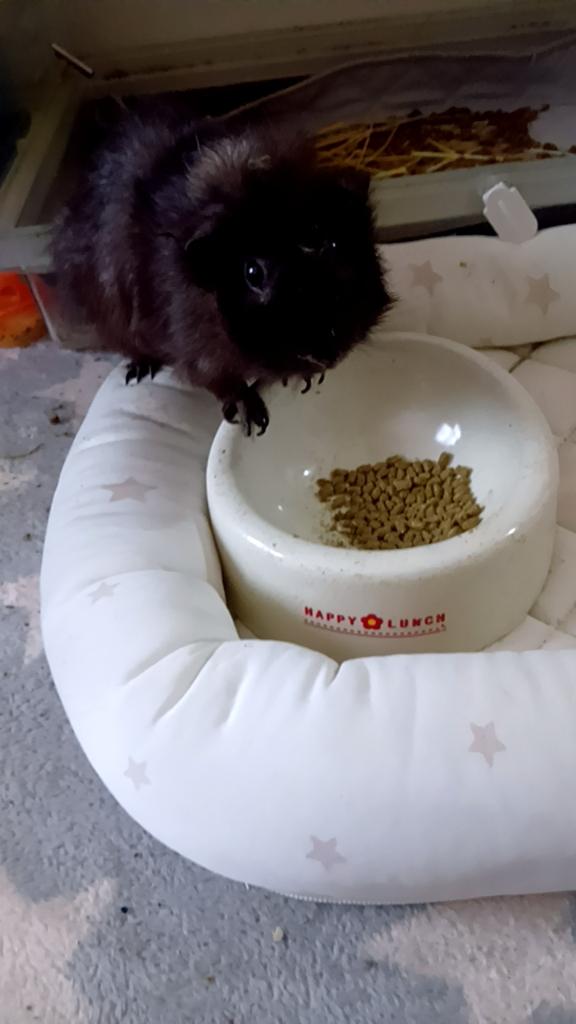 明日出勤します🥰