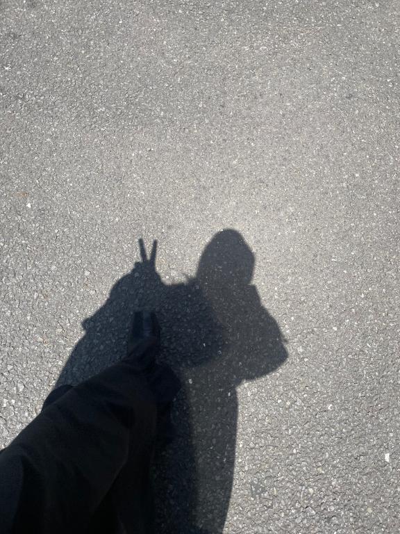 本日も❣️