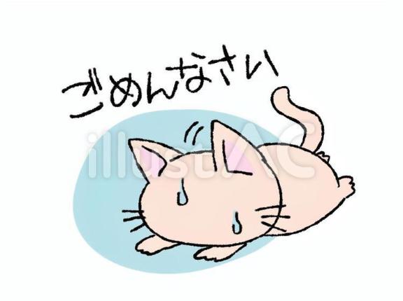 ごめんにゃさい🙇♀️