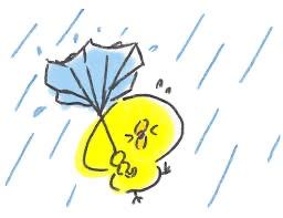 本日も😇