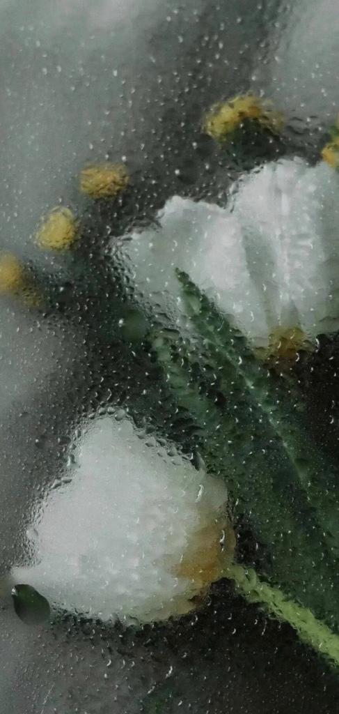 ♡思いやりは大切に♡