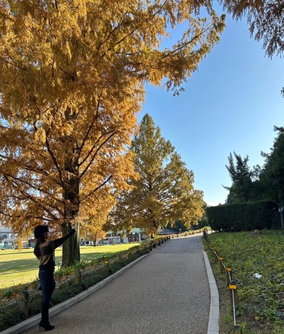 最終日の朝です🌼