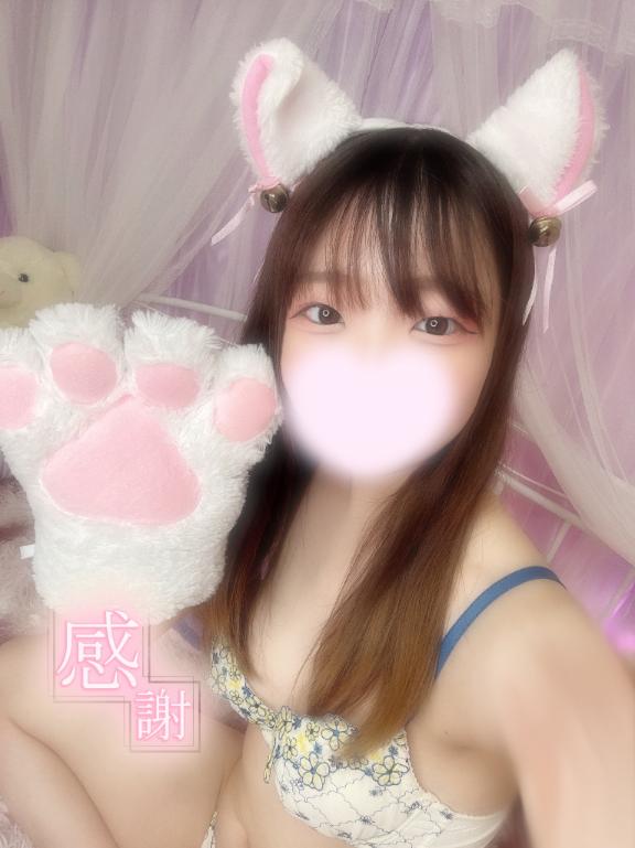 癒したい🐶💕