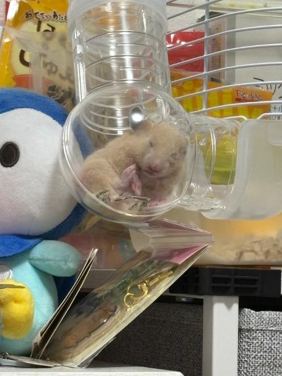 必読