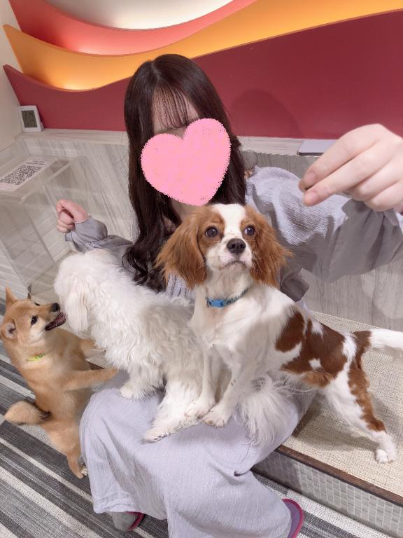 今週ラスト⚡️