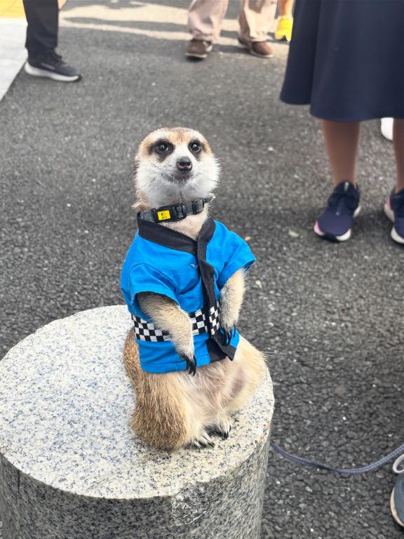 ちょっとだけ遅れます