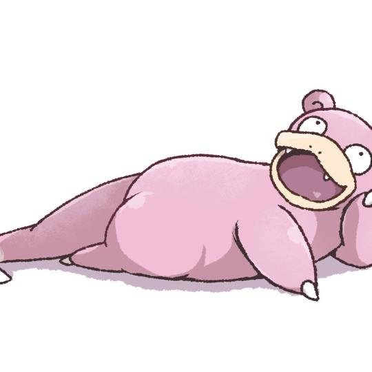 次回出勤のお知らせ