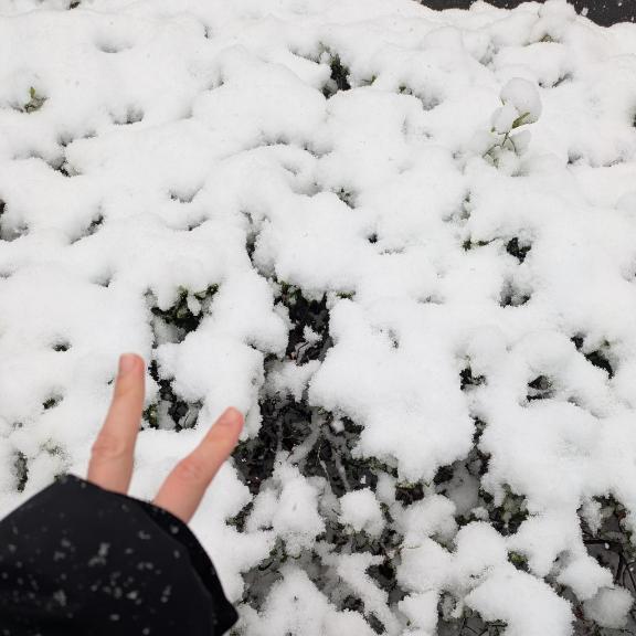 今週の寒暖差、なかなか手強いですね👧🏻💚