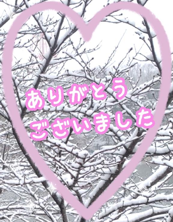 本日のご案内終了🙇‍♀️