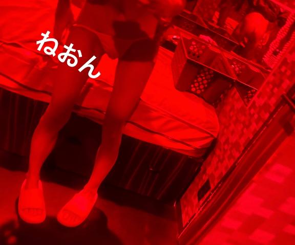 次回17日以降🤍