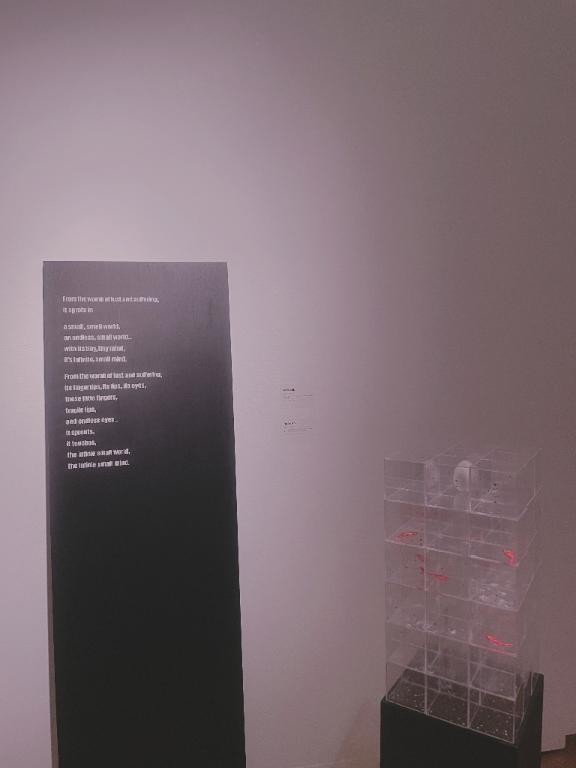 昨日は🎨