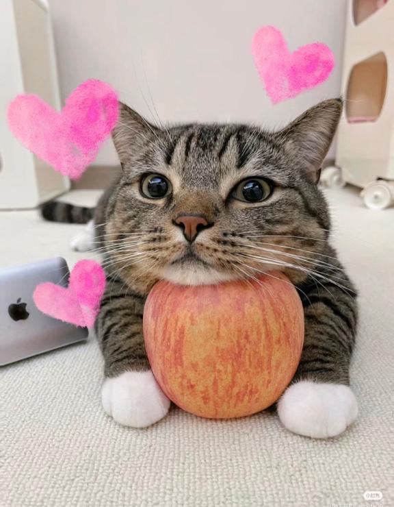 わーーーーい😍💖