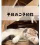 平日のご予約枠