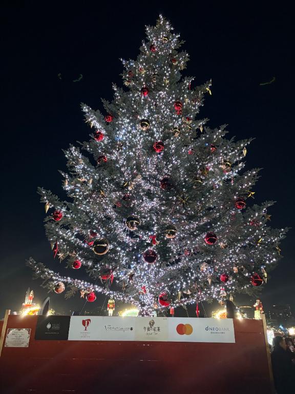 探しに行くナガサワ