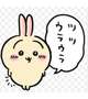 ヒャッハーᕱ⑅︎ᕱ"